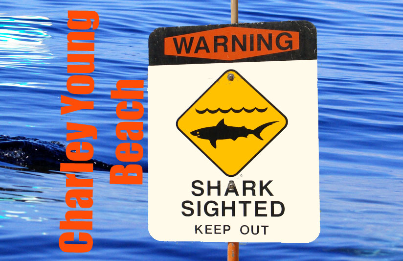 Shark bite report at Charley Young Beach in South Maui. Maui Now graphics.