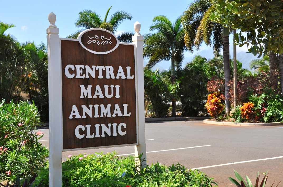 Central Maui Animal Clinic