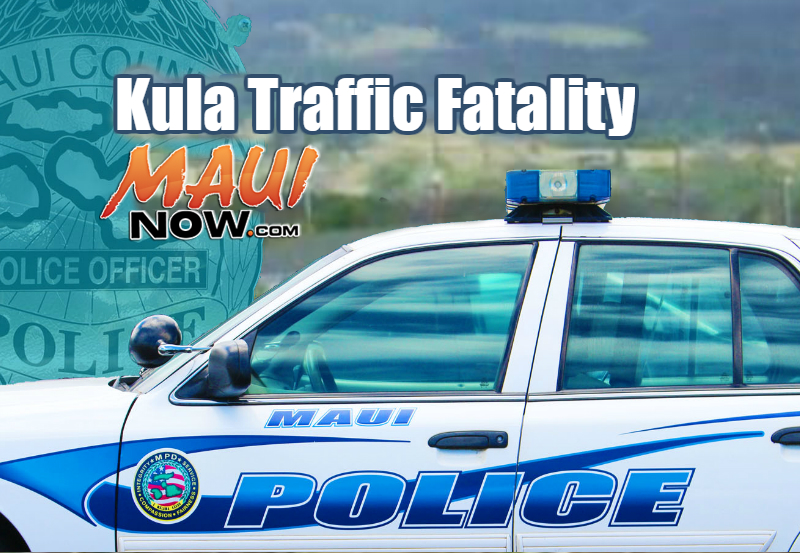 Maui Now Graphic.