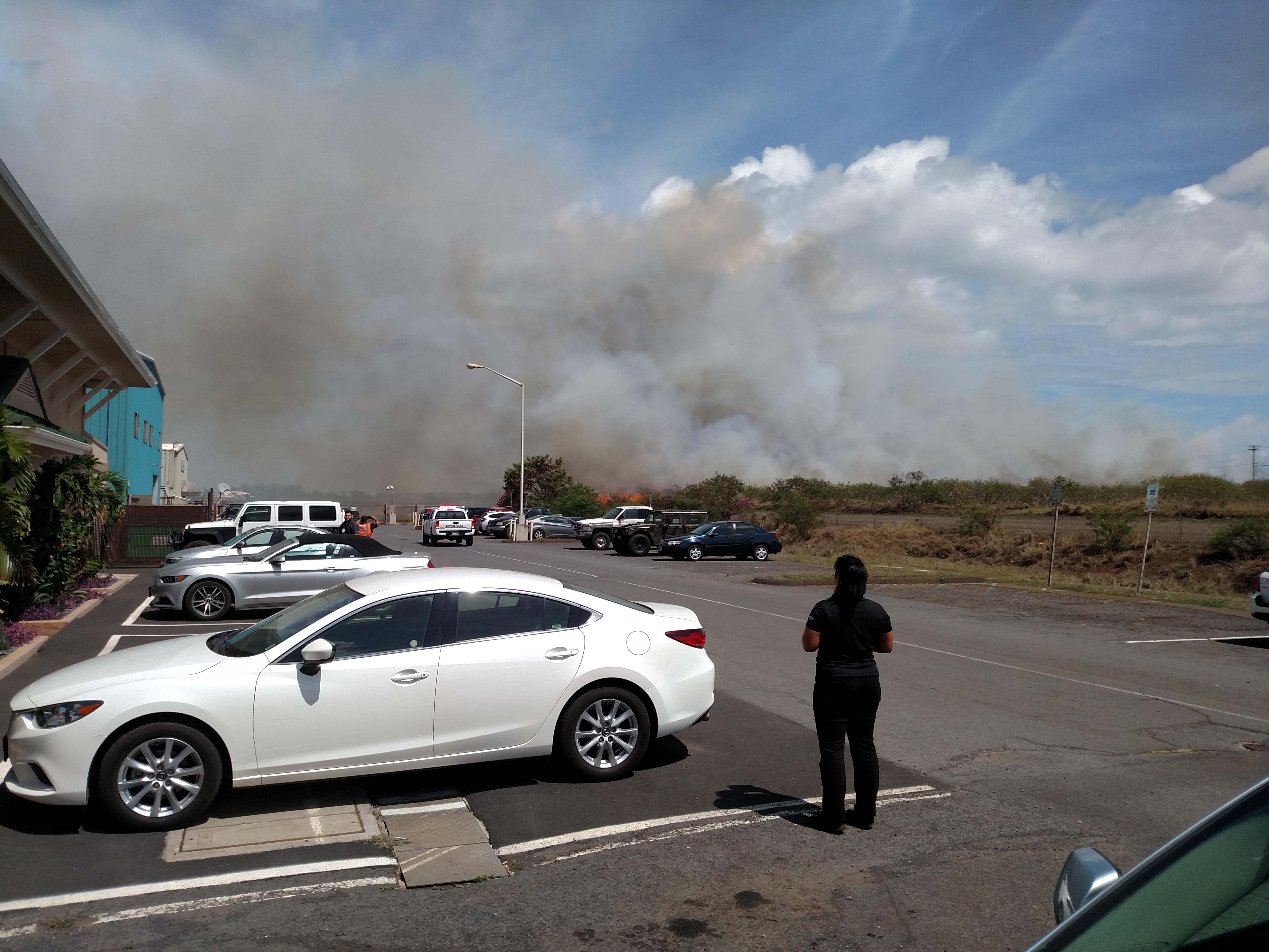 Fire near Kahului heliport, 10.4.16. PC: Steve Jelvani.