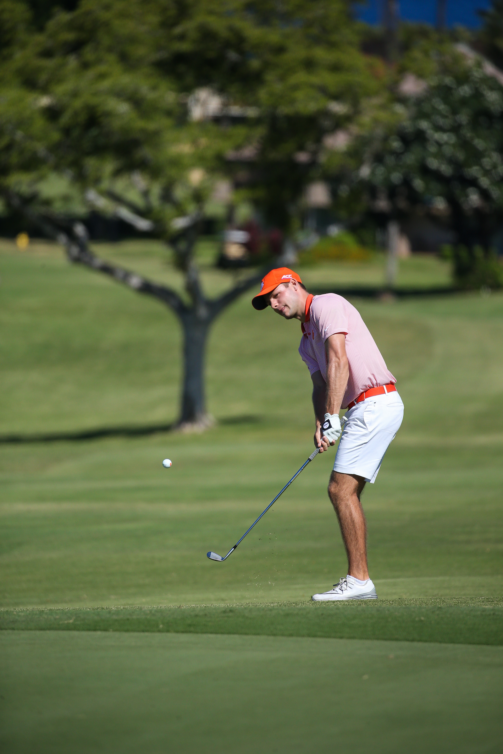 Doc Redman of Clemson chips in for eagle on number six during the final round of the 3rd annual Kaanapali Classic collegiate invitational. Kaanapali Royal Course Lahaina, Hawaii November 5th, 2016/ Photo by Aric Becker