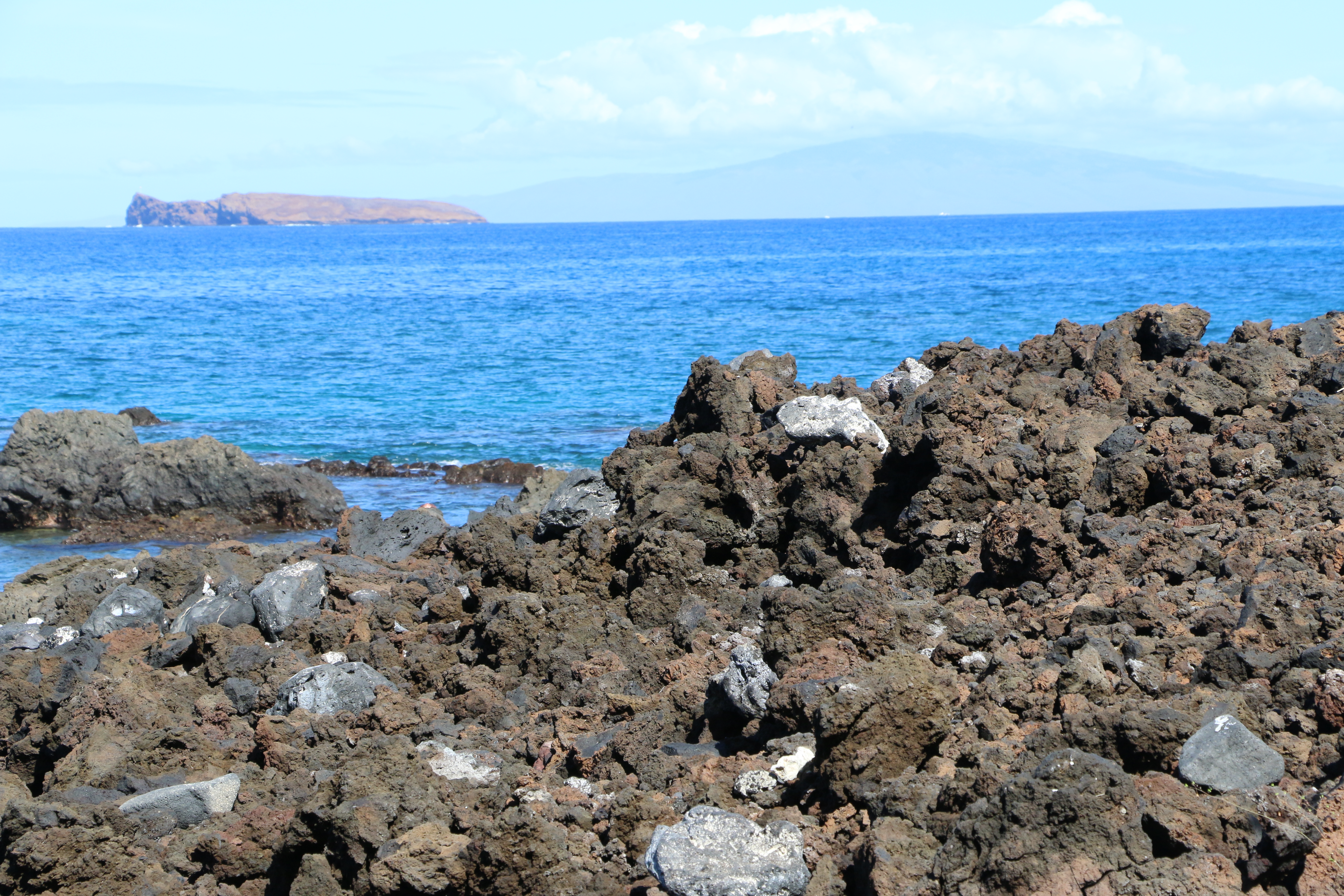 ʻĀhihi-Kinaʻu Natural Area Reserve. Image: DLNR.