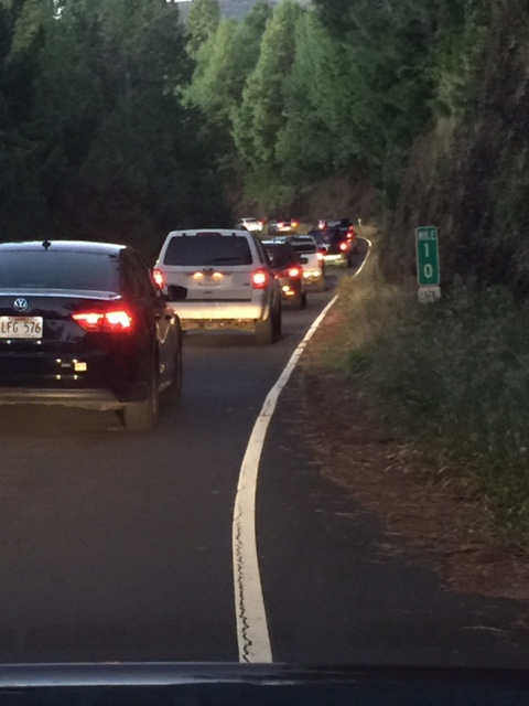 Traffic lines extend outside the park at Mile Marker ten along Crater Road. 
