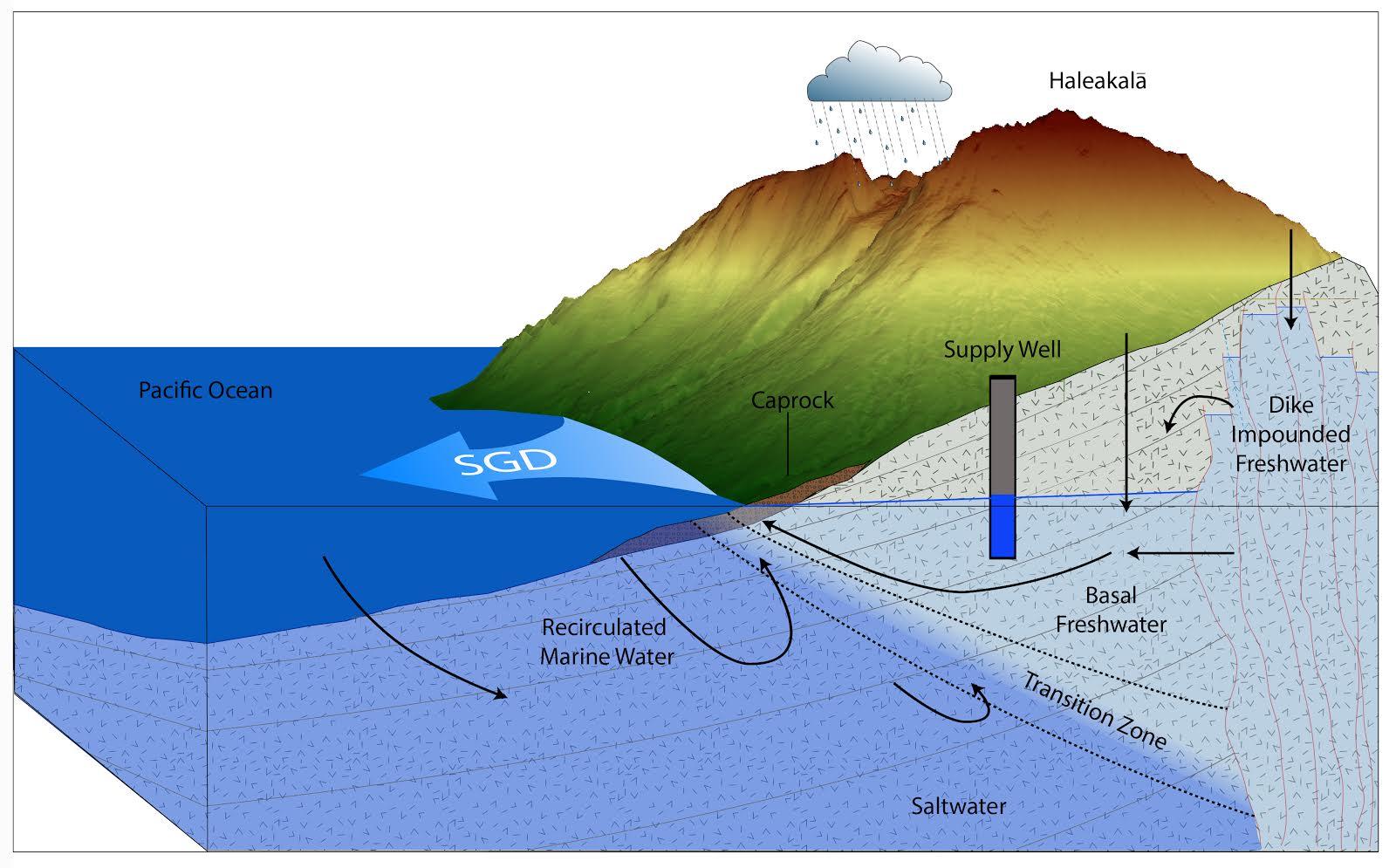 Schematic of submarine groundwater discharge. Credit: Bishop, et al. (2015)
