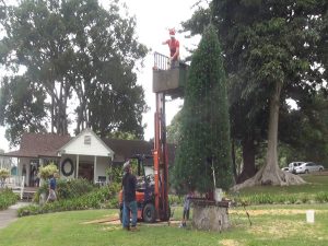The crew decorates a 20-foot tree at MauiWine. Photo by Kiaora Bohlool.
