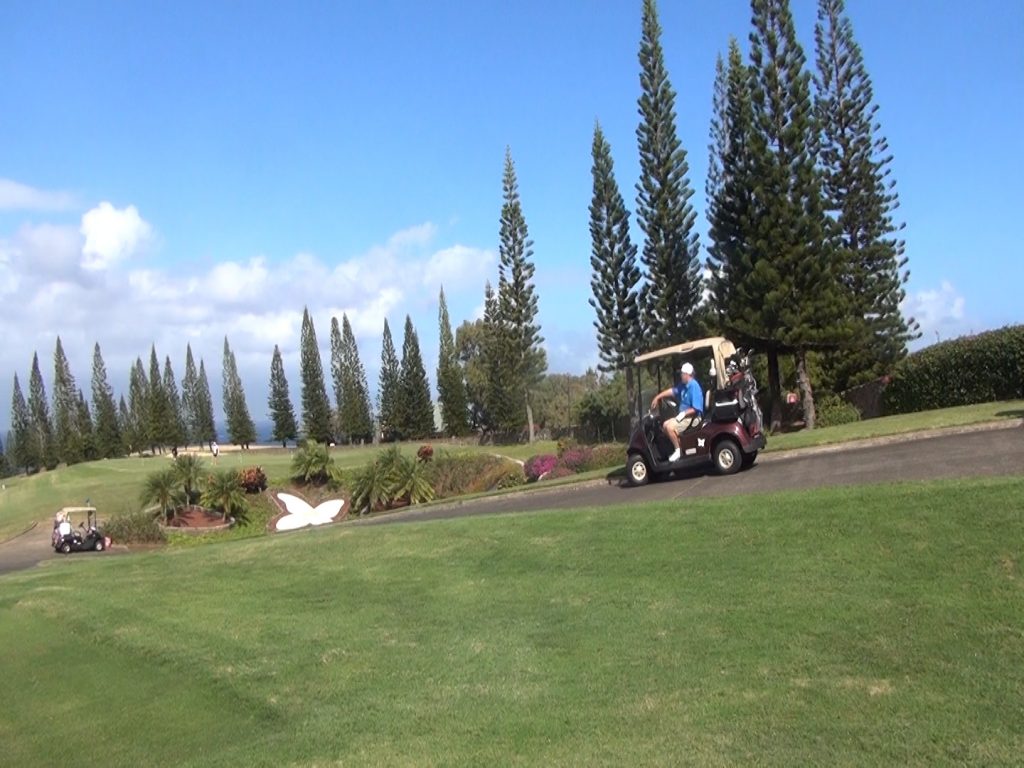 Maui Now : Tiger Woods Qualifies for 2020 Sentry Tournament of Champions on Maui1024 x 768